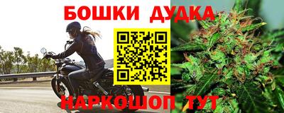 прущие крисы Краснознаменск