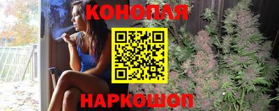прущие крисы Краснознаменск