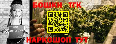 сатива Краснодар