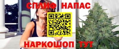 прущие крисы Краснознаменск